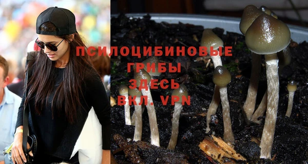 винт Алексин