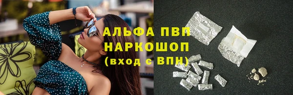 винт Алексин
